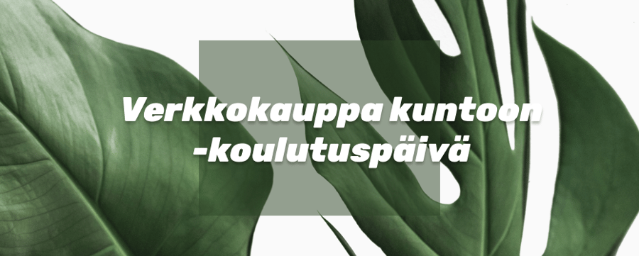 Verkkokauppa kuntoon -koulutuspäivä Verkkokauppa kuntoon -koulutuspäivä