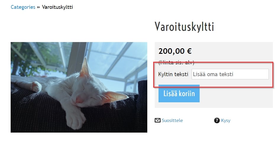 tuotteen-lisatiedot-tilausrivilla-asetukset-2